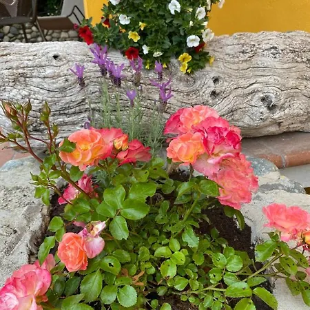 Benza Alloggio per agriturismo *