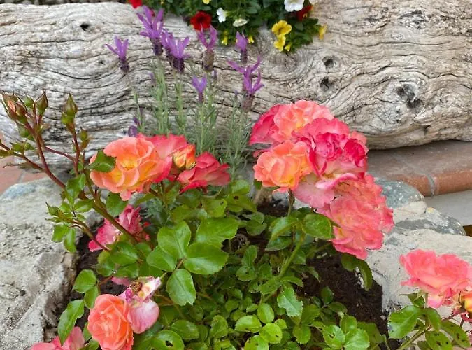 Benza Alloggio per agriturismo *